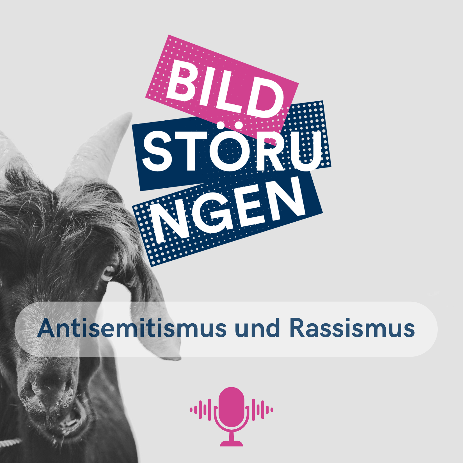 Bildstörungen