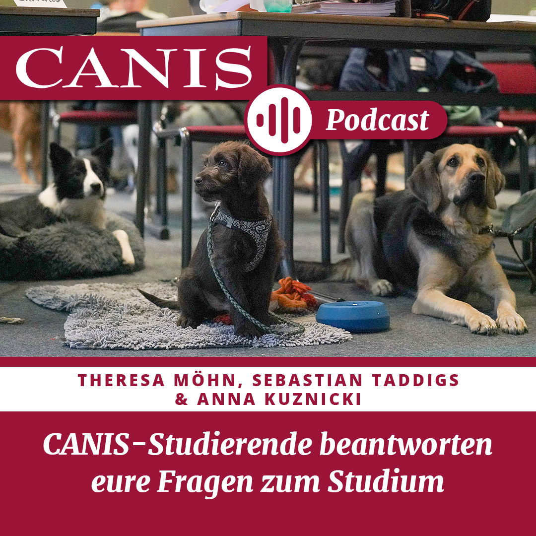 Der CANIS-Podcast – Hundeexpert:innen ausgefragt