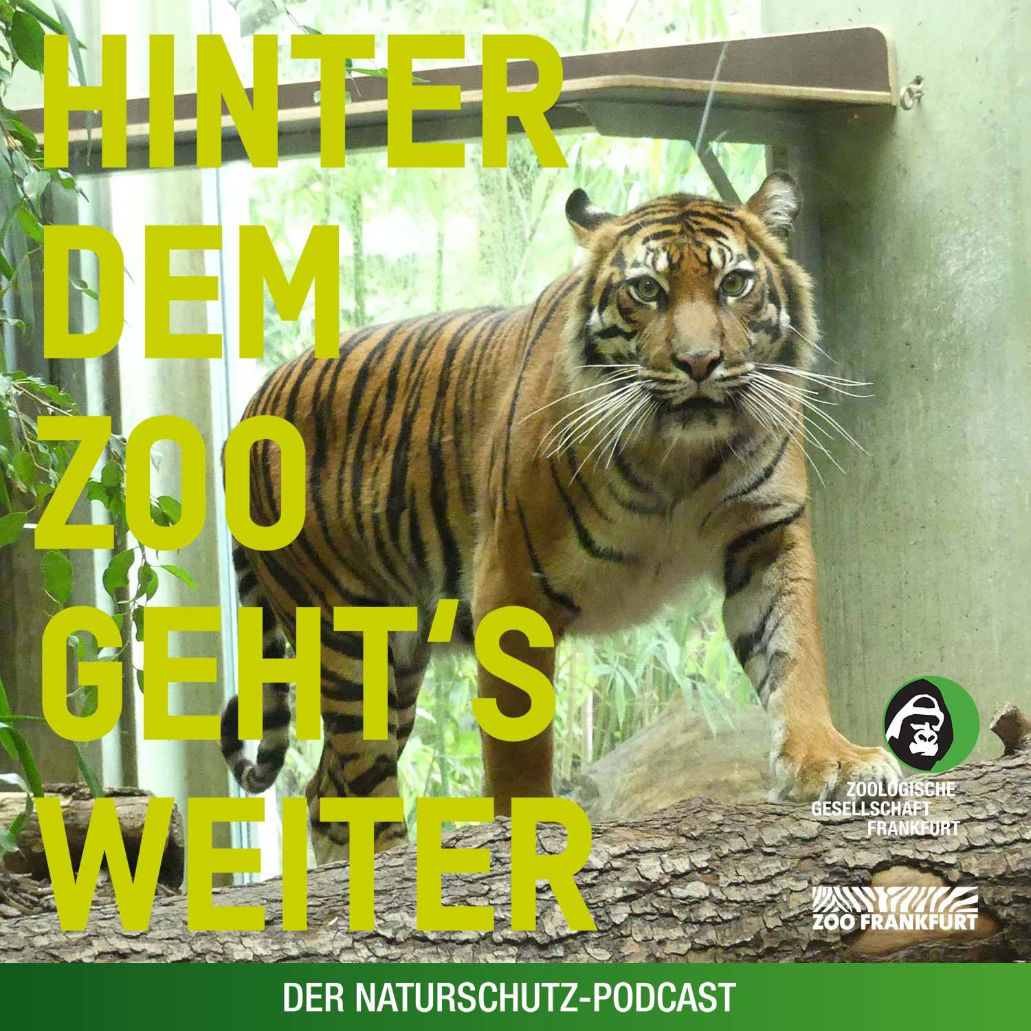 Hinter dem Zoo geht\'s weiter - Der Naturschutzpodcast aus Frankfurt