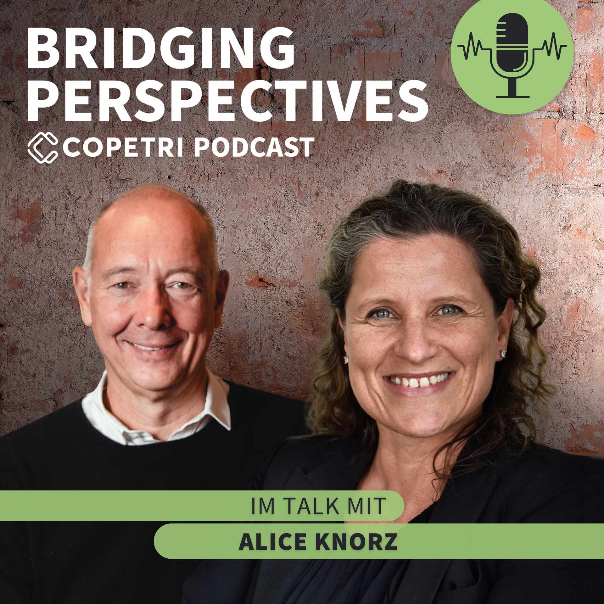 Bridging Perspectives - COPETRI Podcast