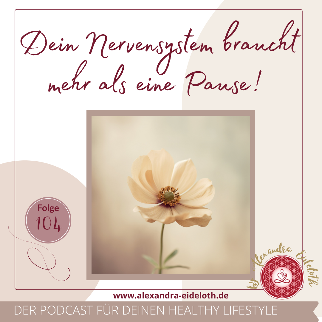 104 - Dein Nervensystem braucht mehr als eine Pause! episode artwork