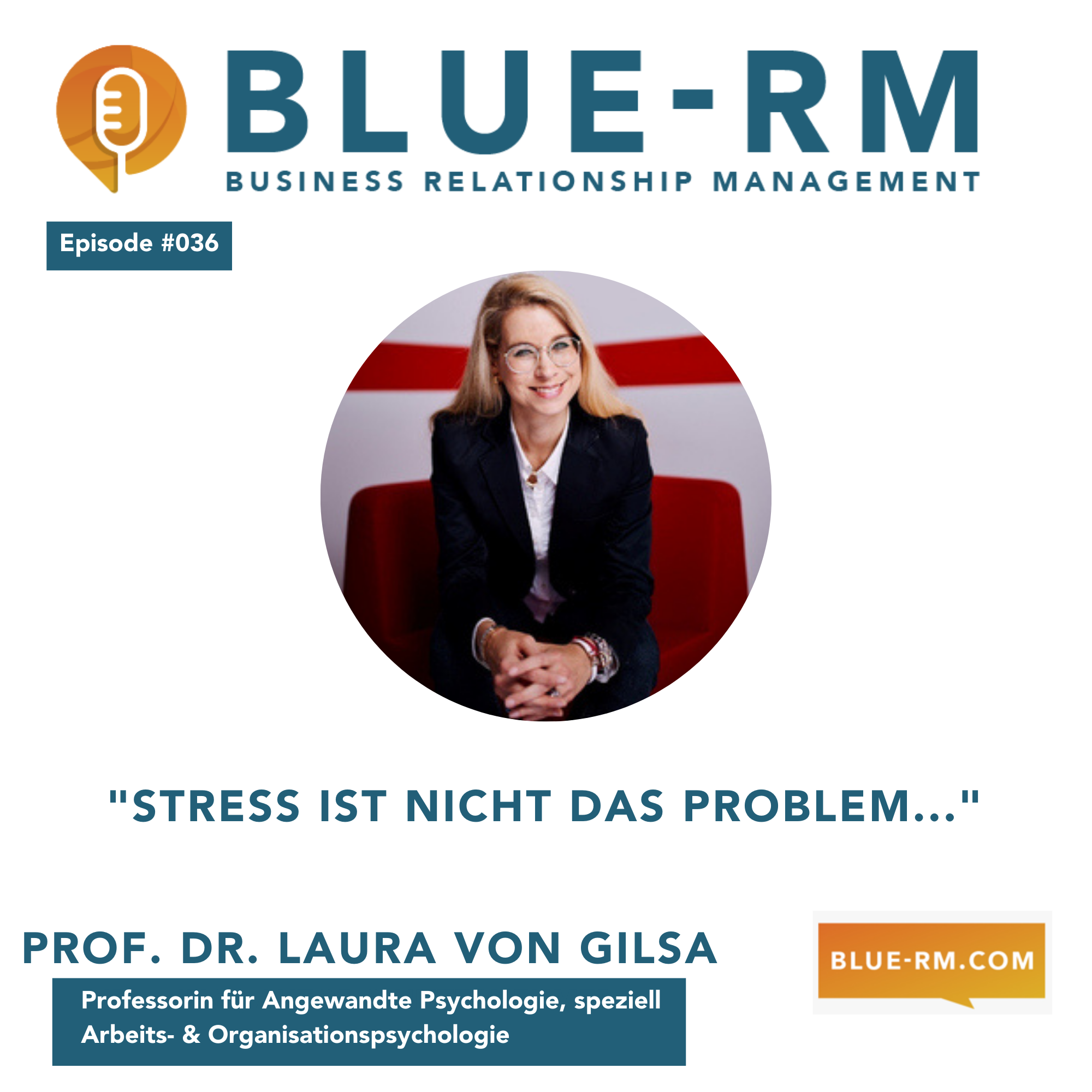 BLUE RM - Business Relationship Management -