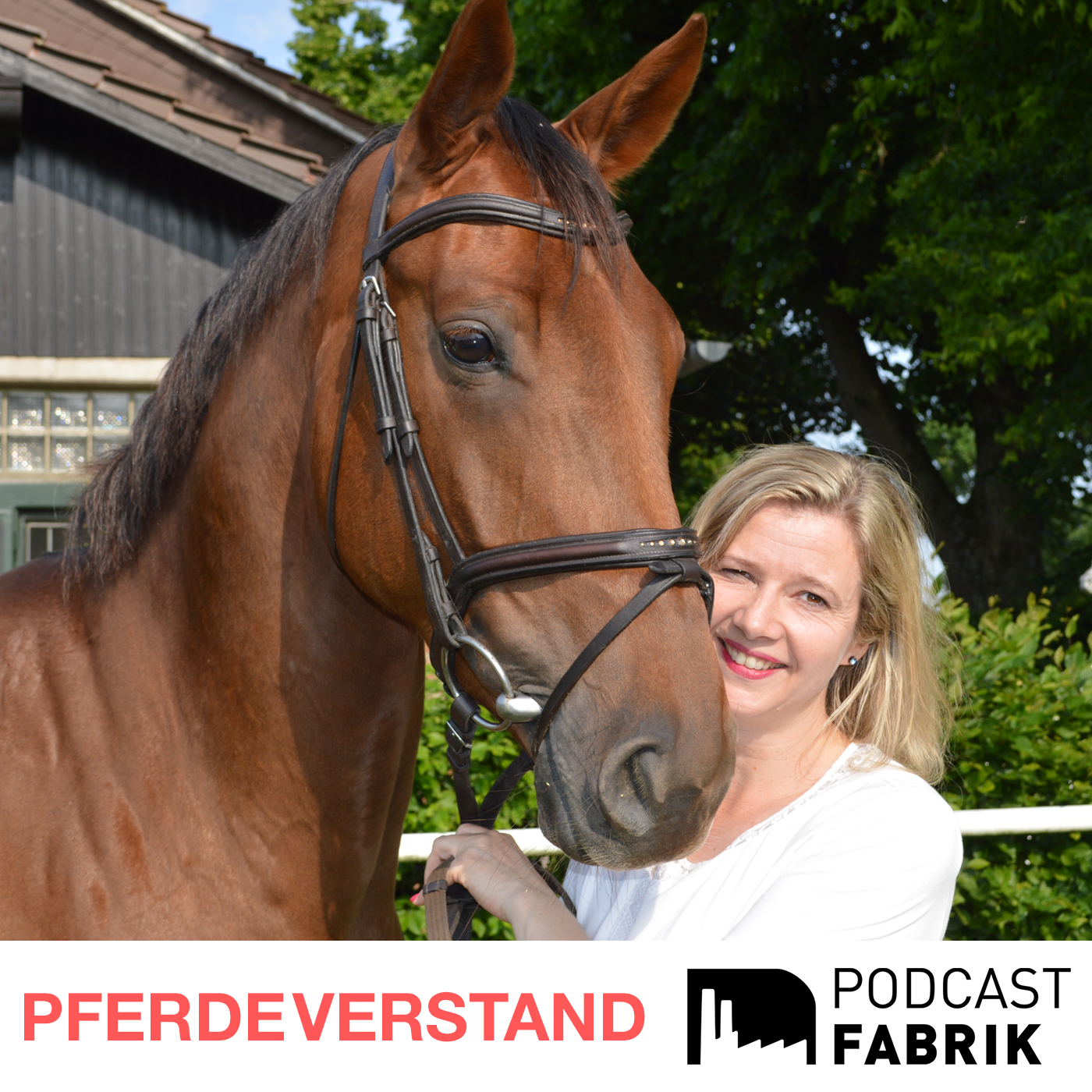 Pferdeverstand - Der Pferdesportpodcast