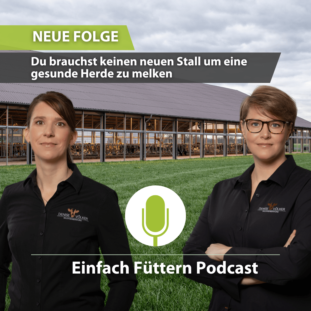 Einfach Füttern Podcast