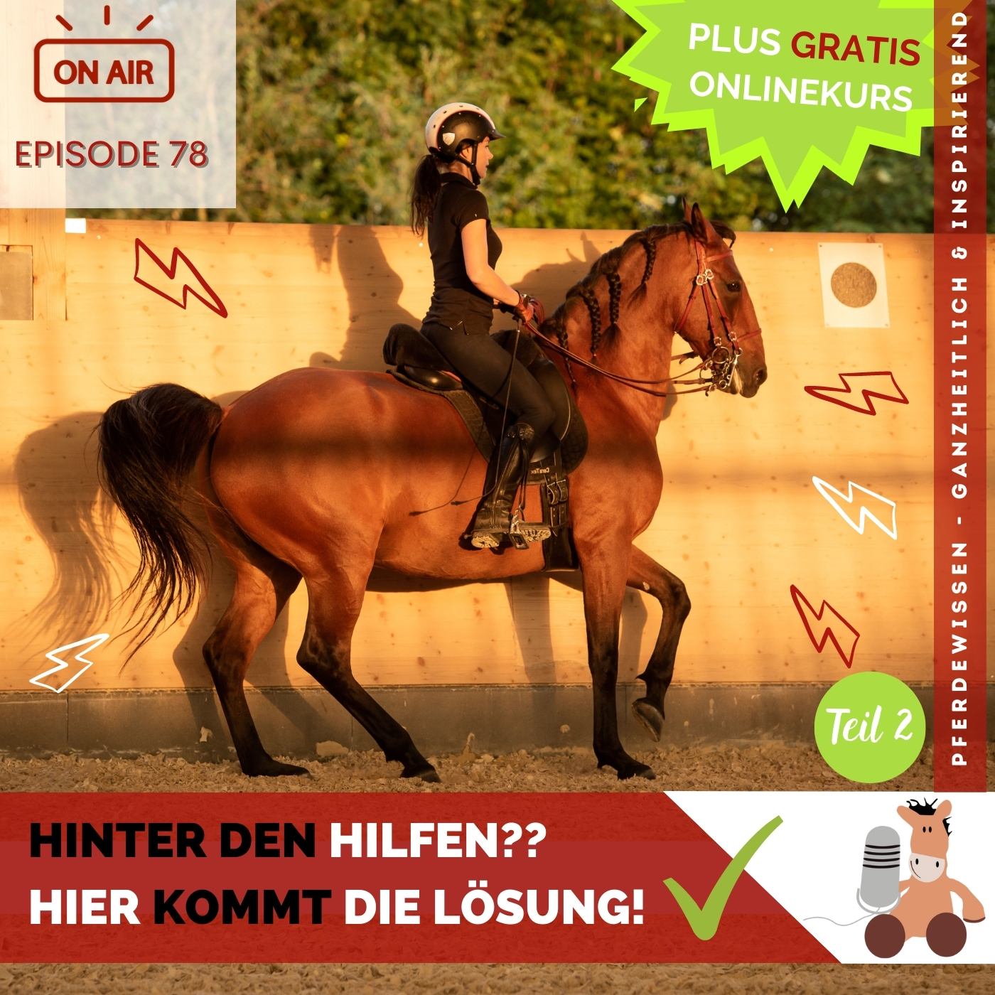 Pferdewissen - ganzheitlich & inspirierend mit Sandra Fencl