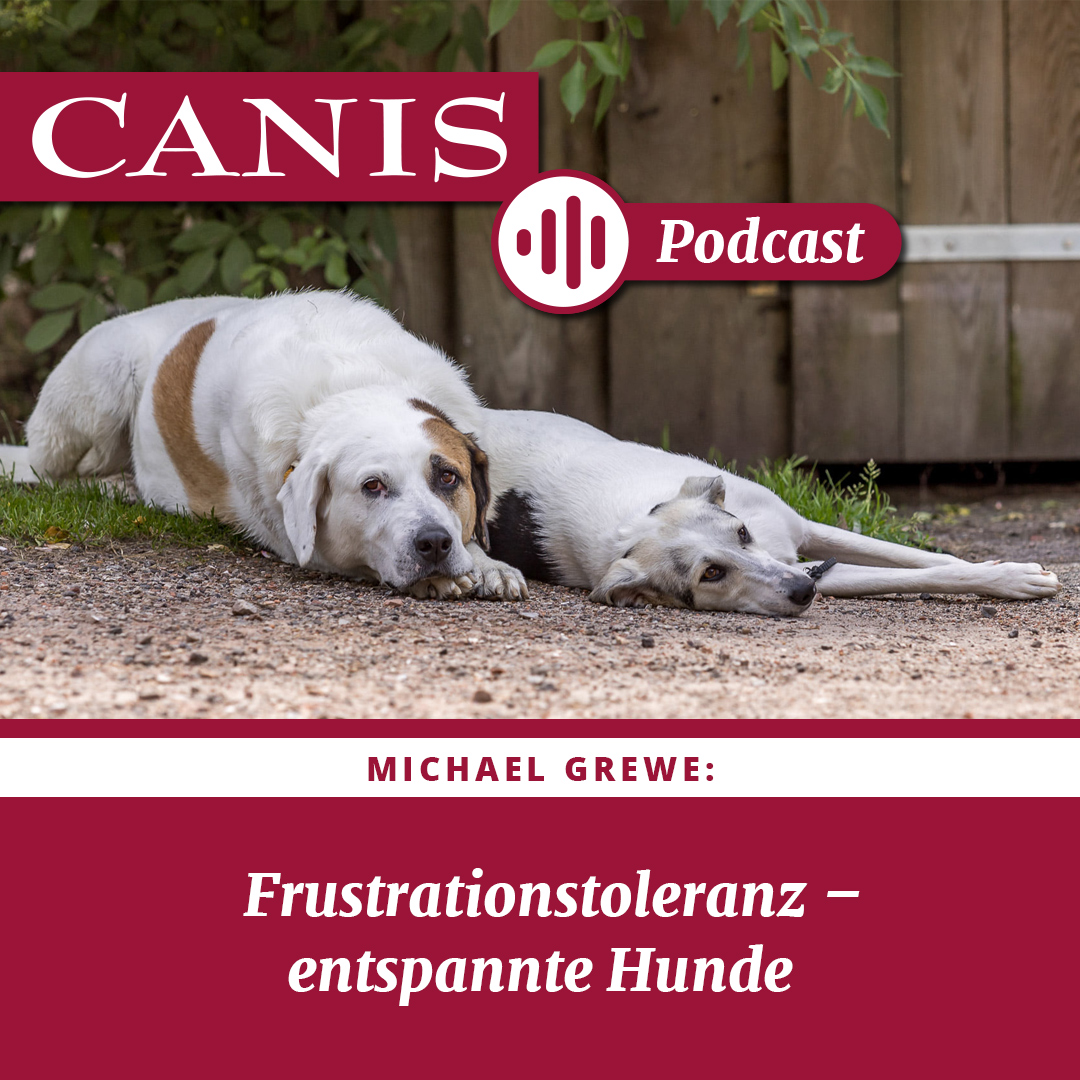 Der CANIS-Podcast – Hundeexpert:innen ausgefragt