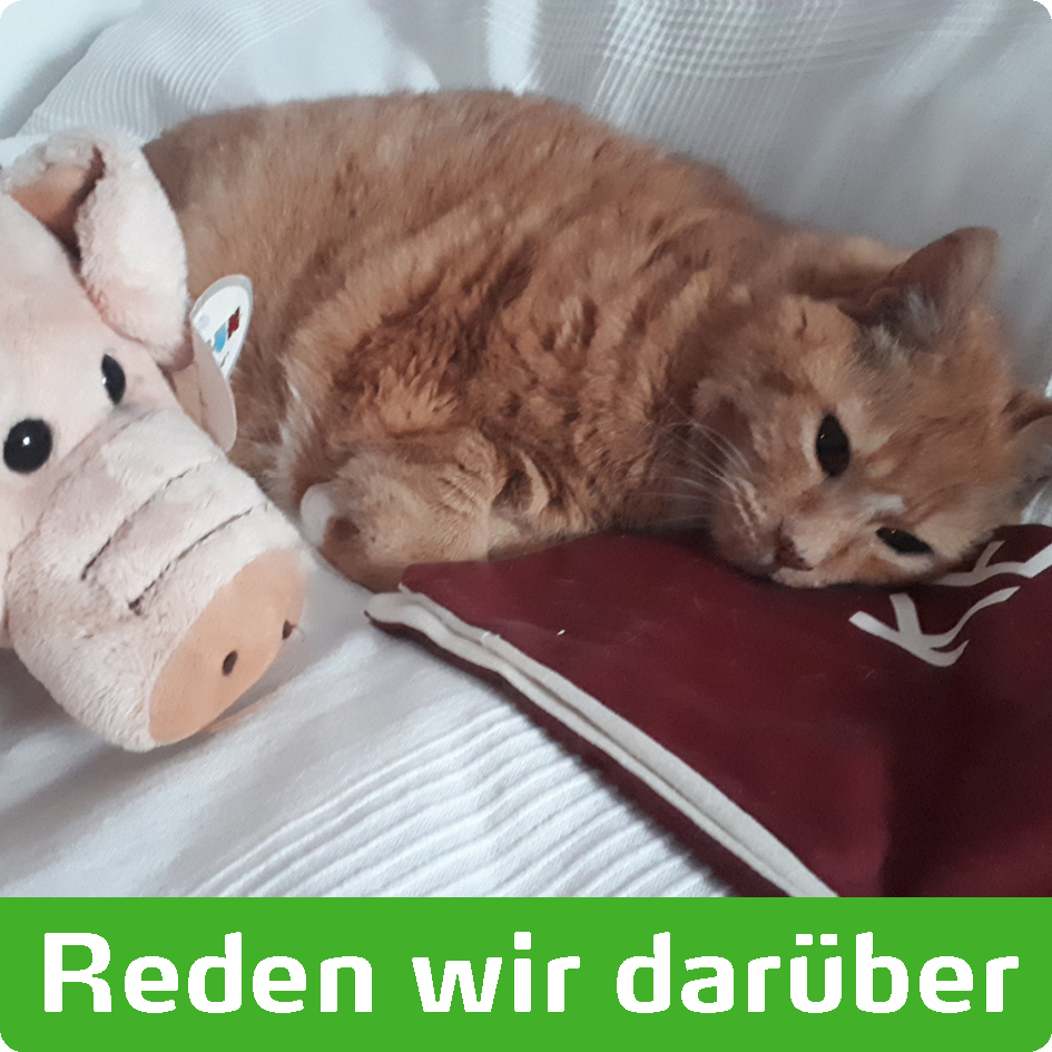 Reden wir darüber - Podcast über christliches Leben in Leverkusen