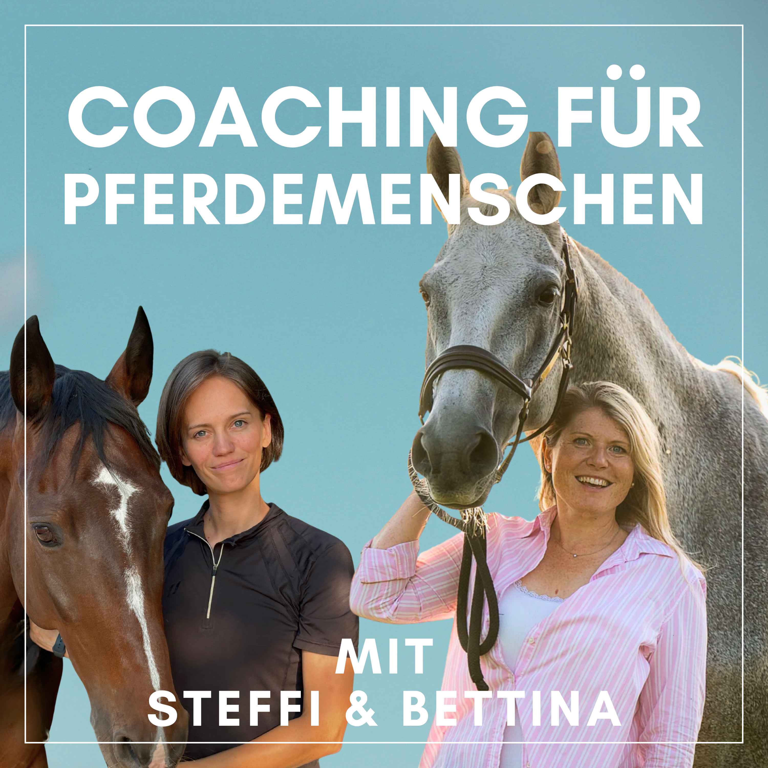 Coaching für Pferdemenschen