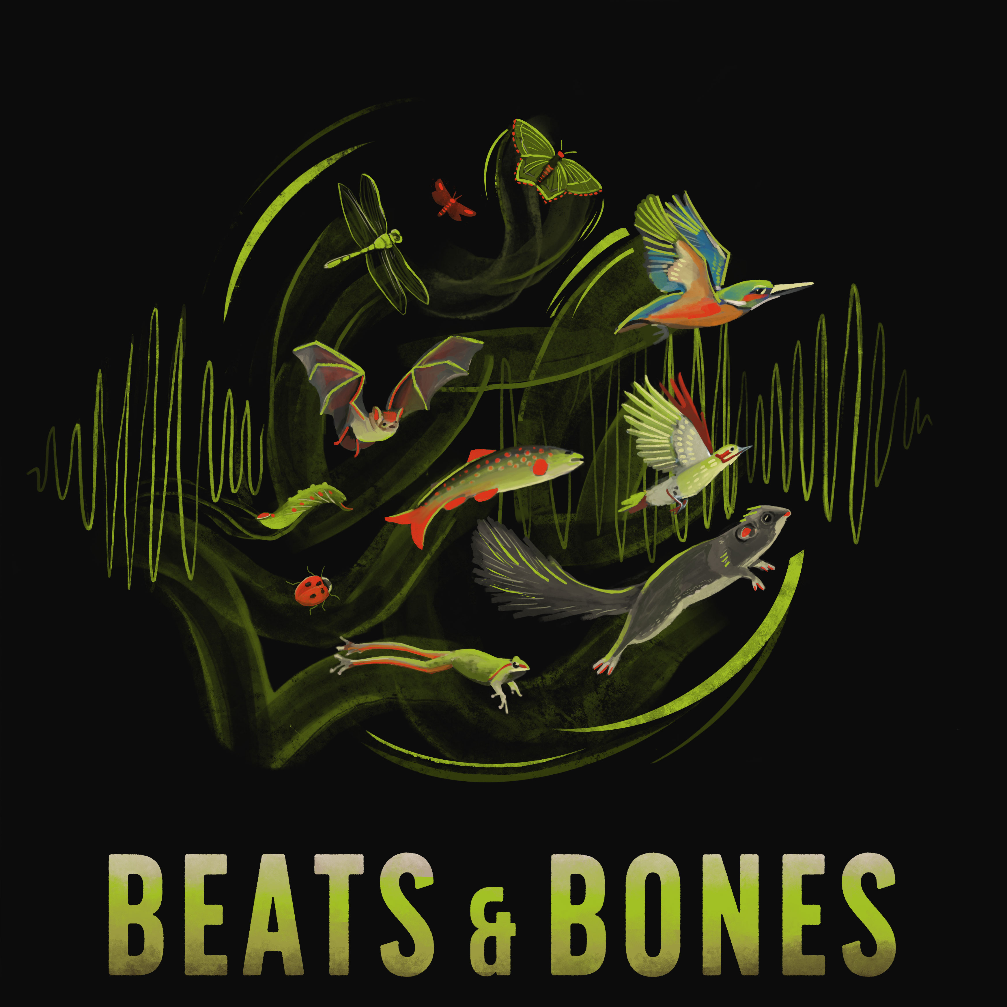 Beats & Bones