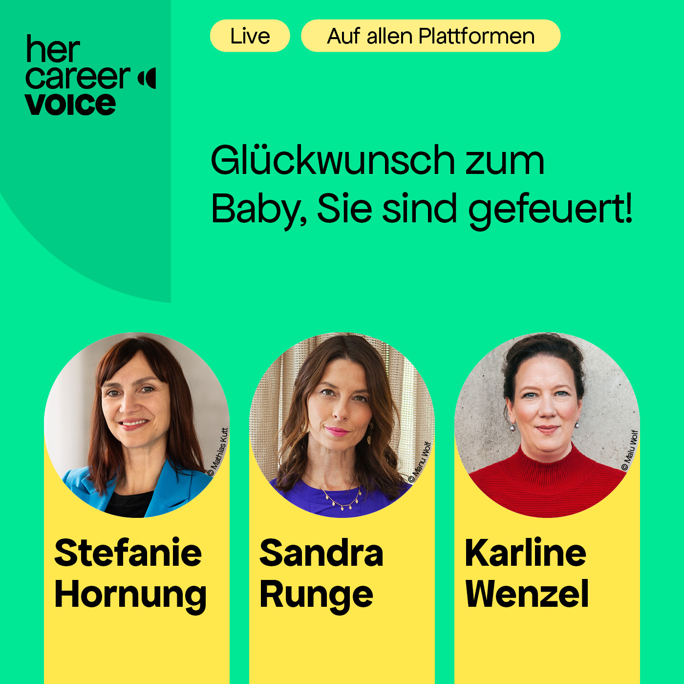 Glückwunsch zum Baby, Sie sind gefeuert! episode artwork