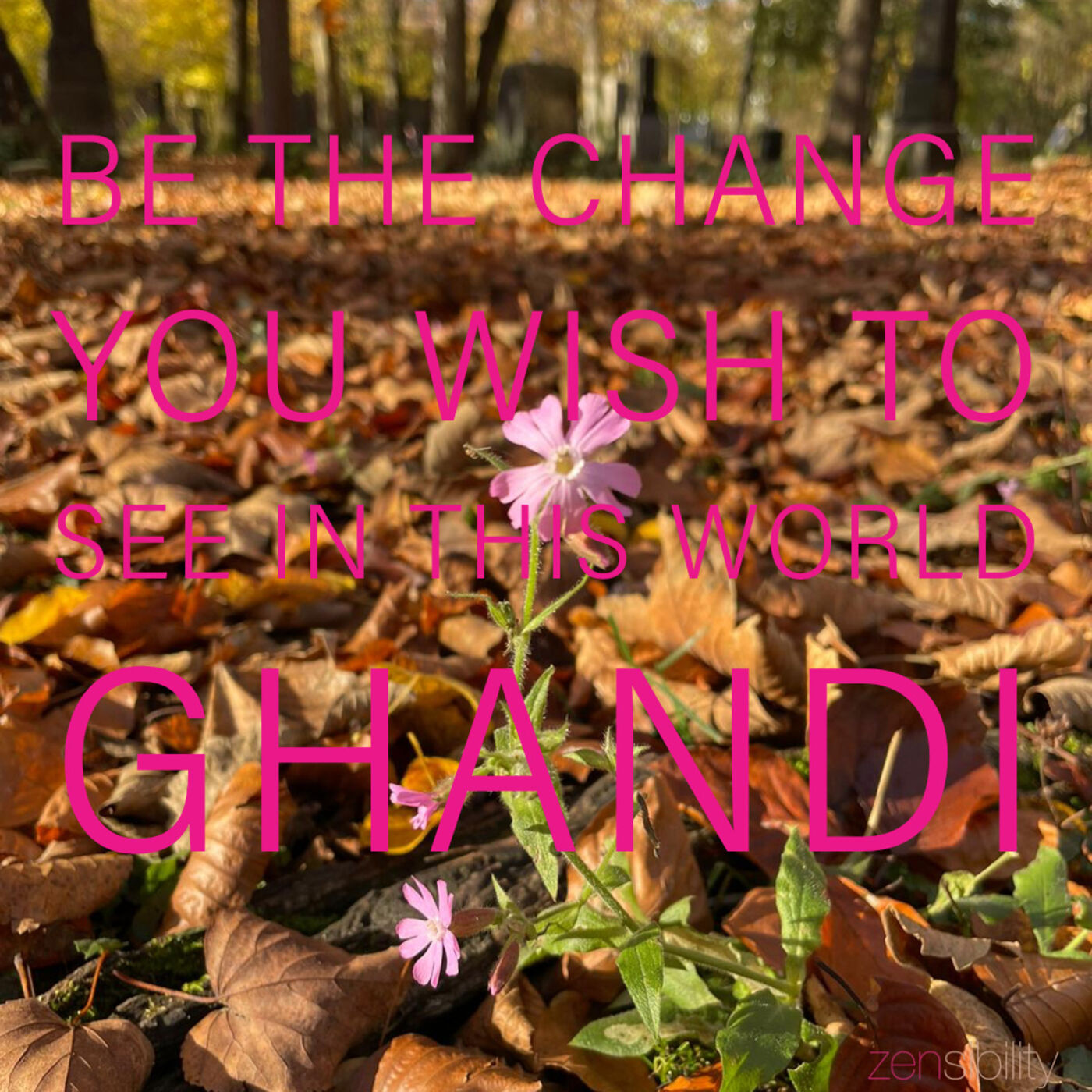 ZENsibility 🌸 - neurodivergente Menschlichkeit energetisch, achtsam, bewusst (er)leben