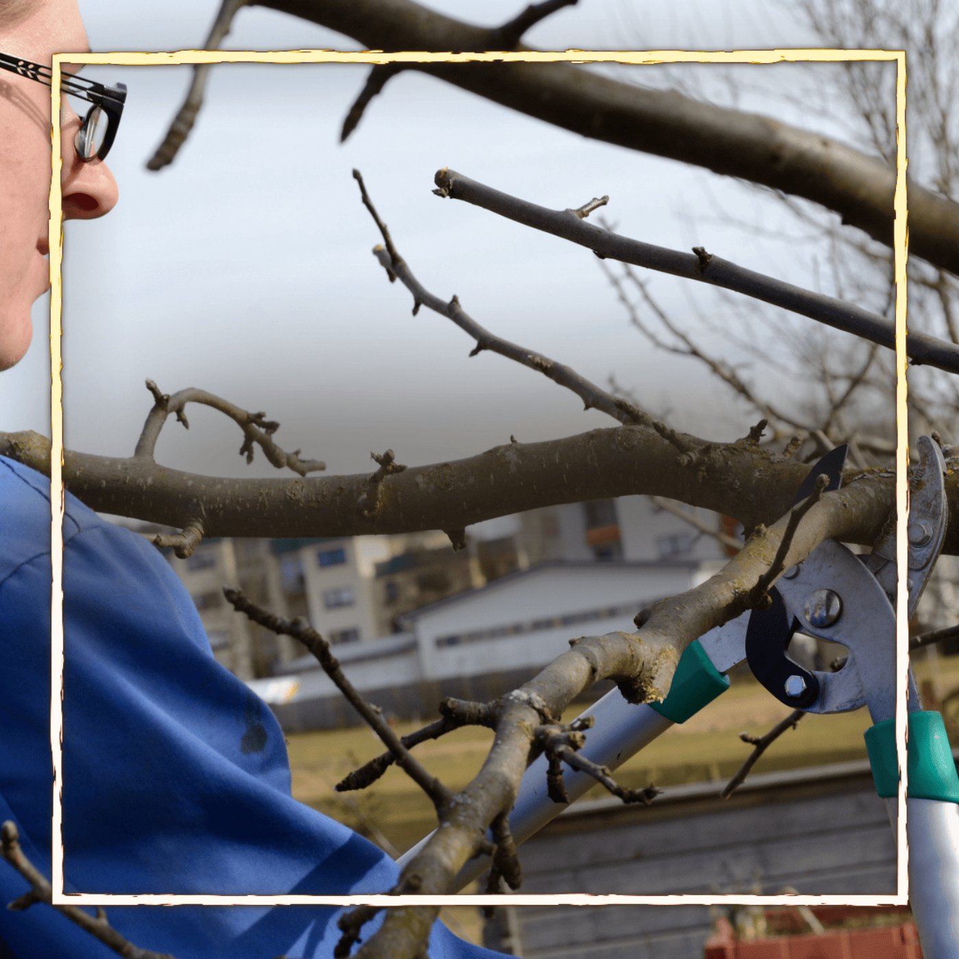 Die 10 häufigsten Irrtümer im Garten