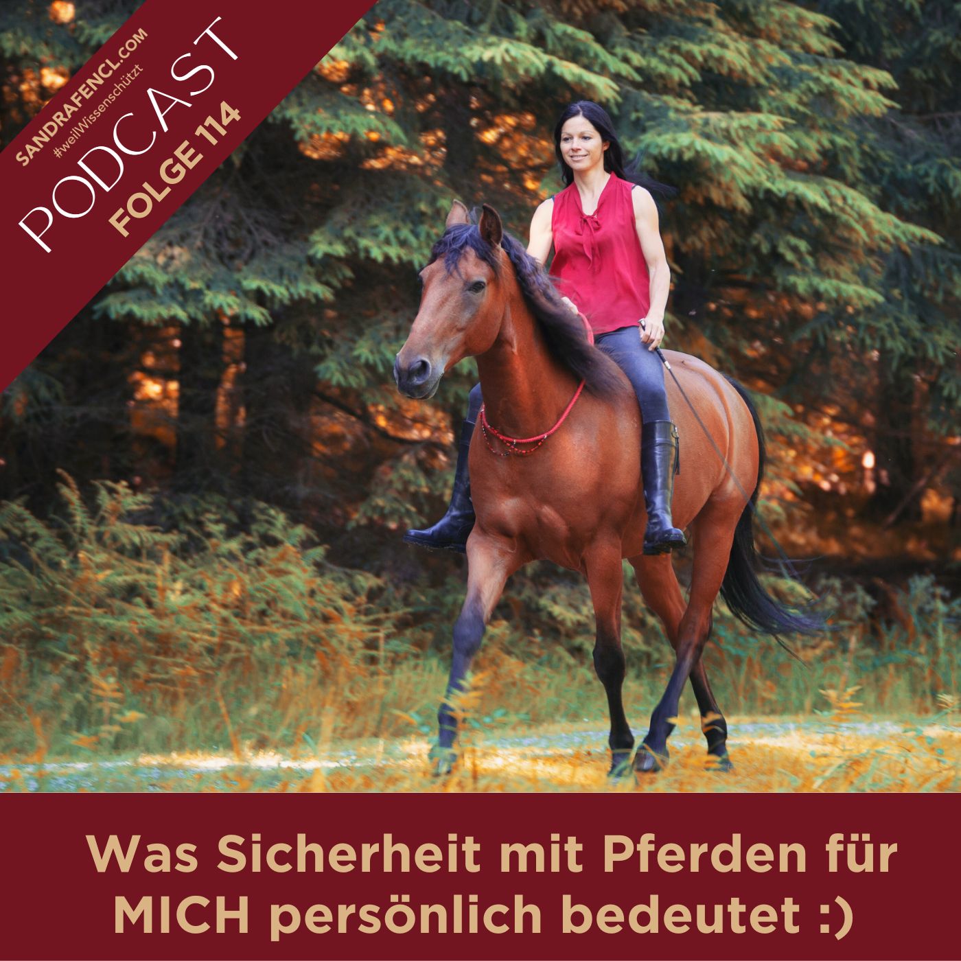 🐴🙌 Echte Sicherheit mit dem Pferd