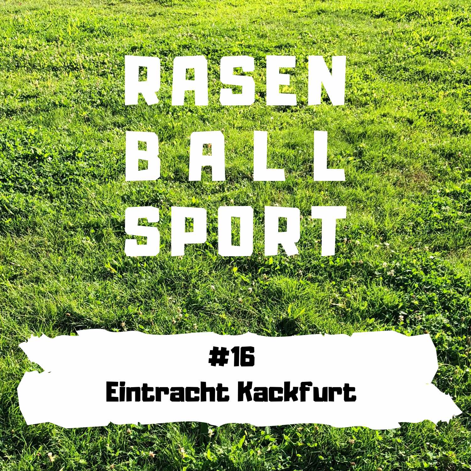 RASENBALLSPOTT