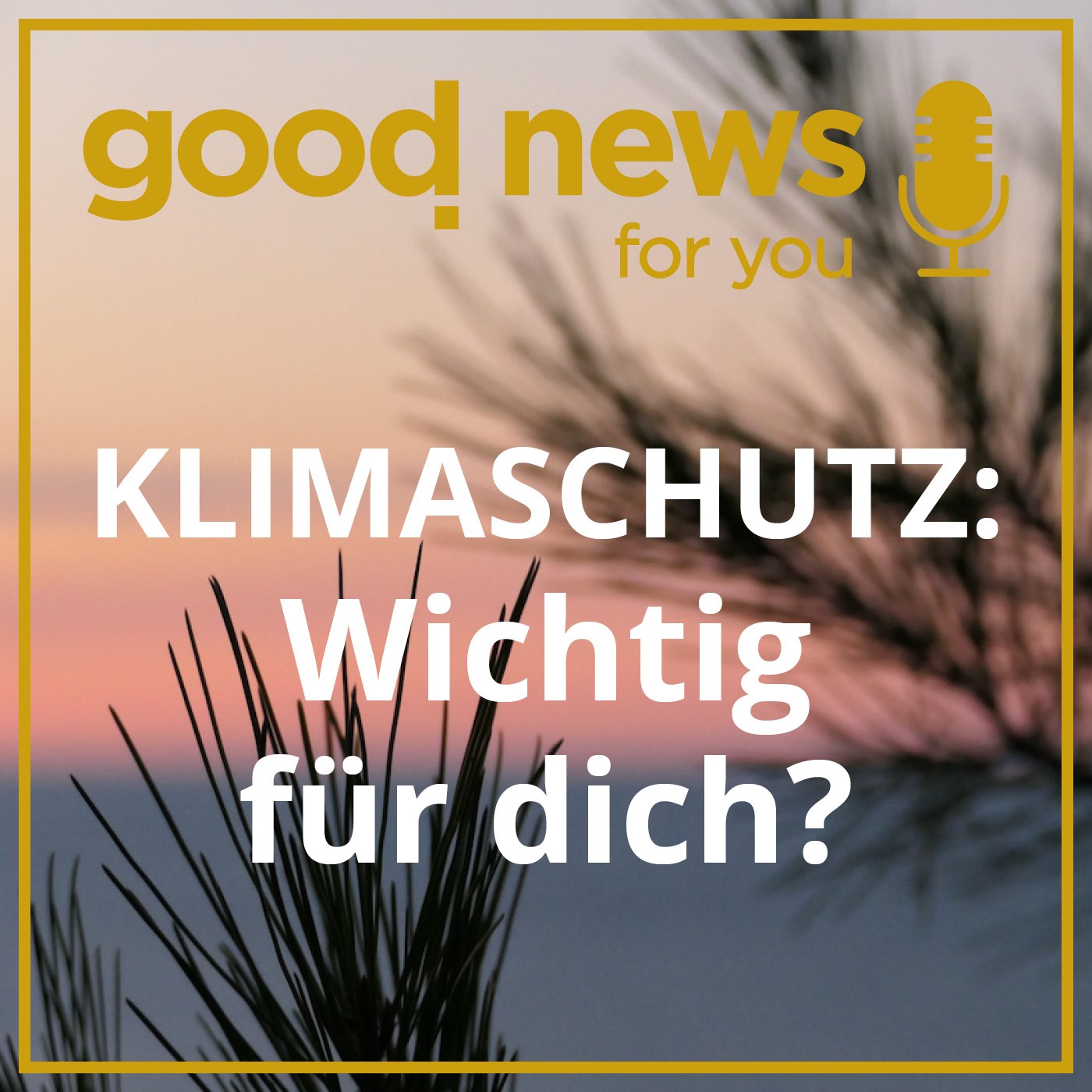Klimaschutz: Wichtig für dich? episode artwork