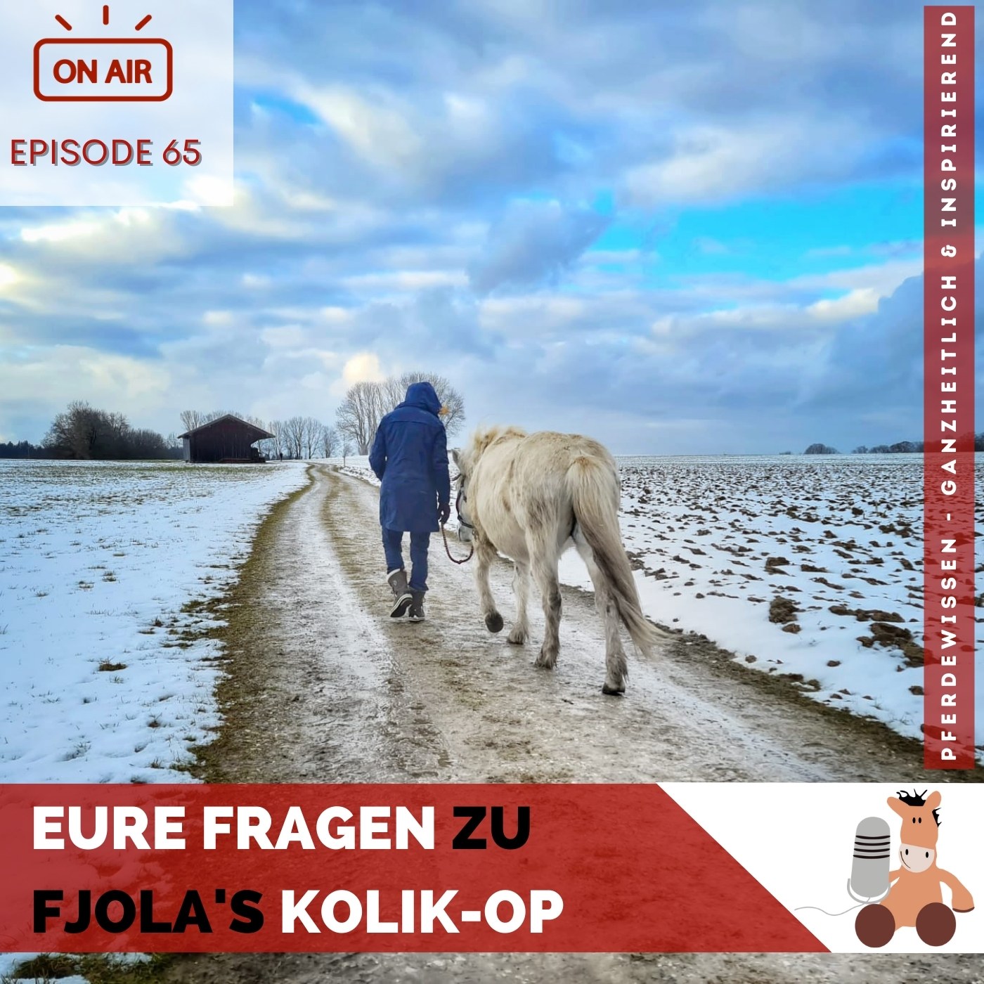 Pferdewissen - ganzheitlich & inspirierend mit Sandra Fencl