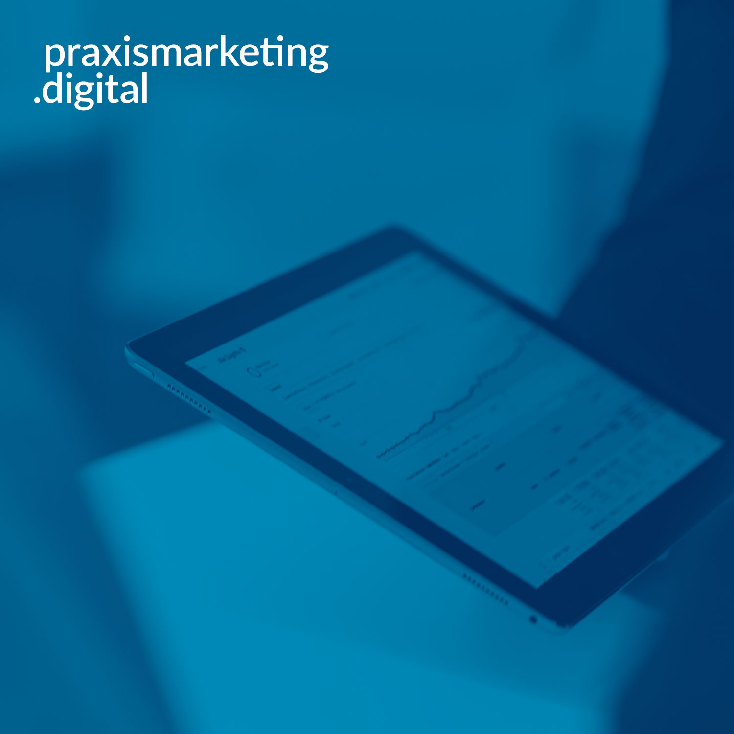 praxismarketing.digital