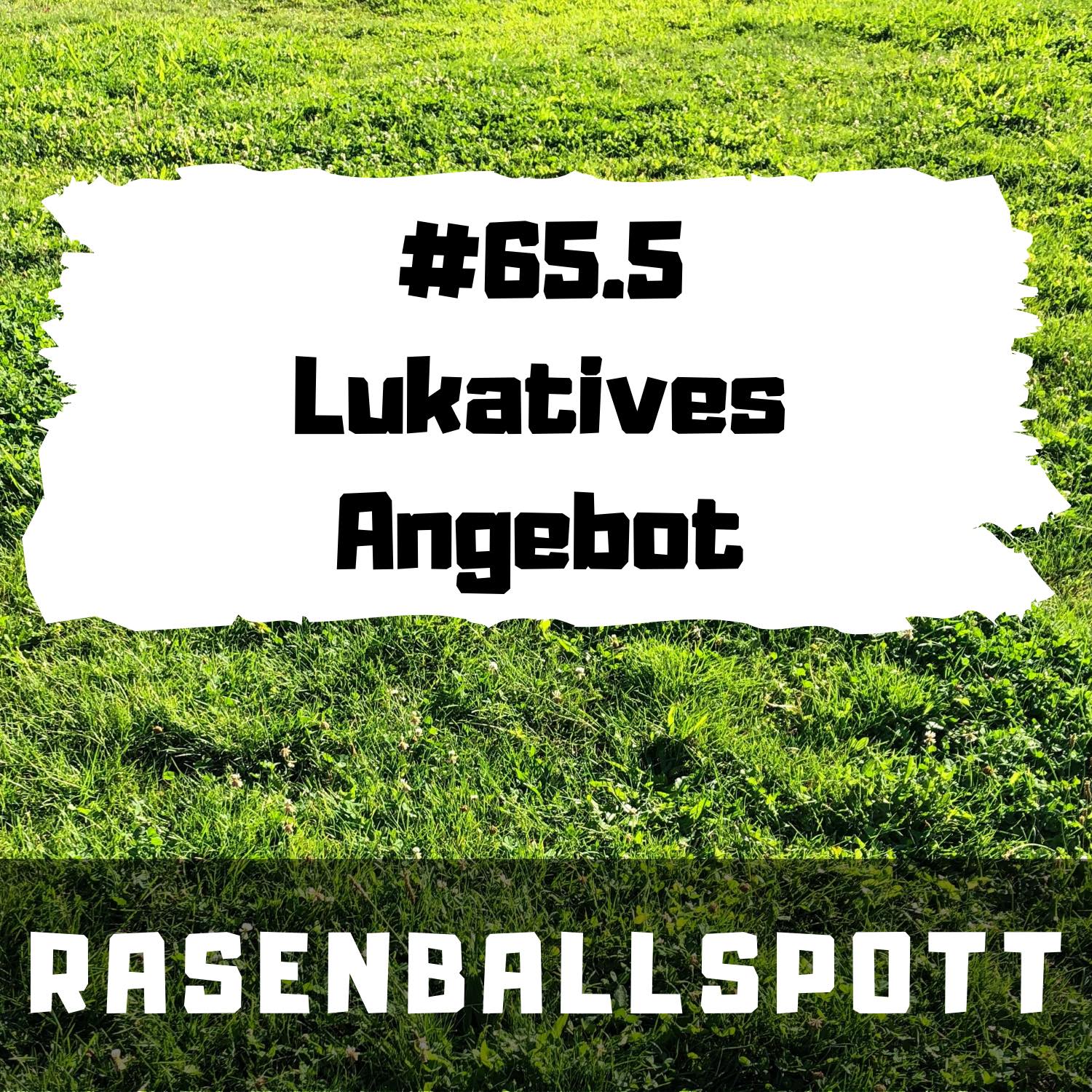 RASENBALLSPOTT