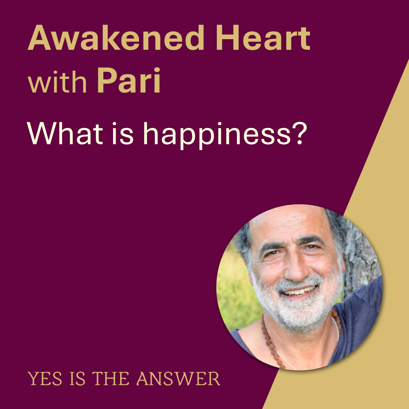 What is happiness?