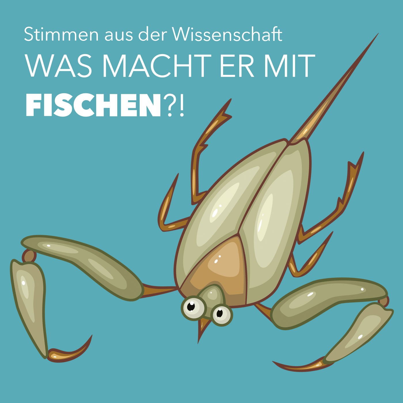 #11 FISCHBESATZ durch INSEKTEN, VÖGEL & Co. // MFBCAST PODCAST ANGELN