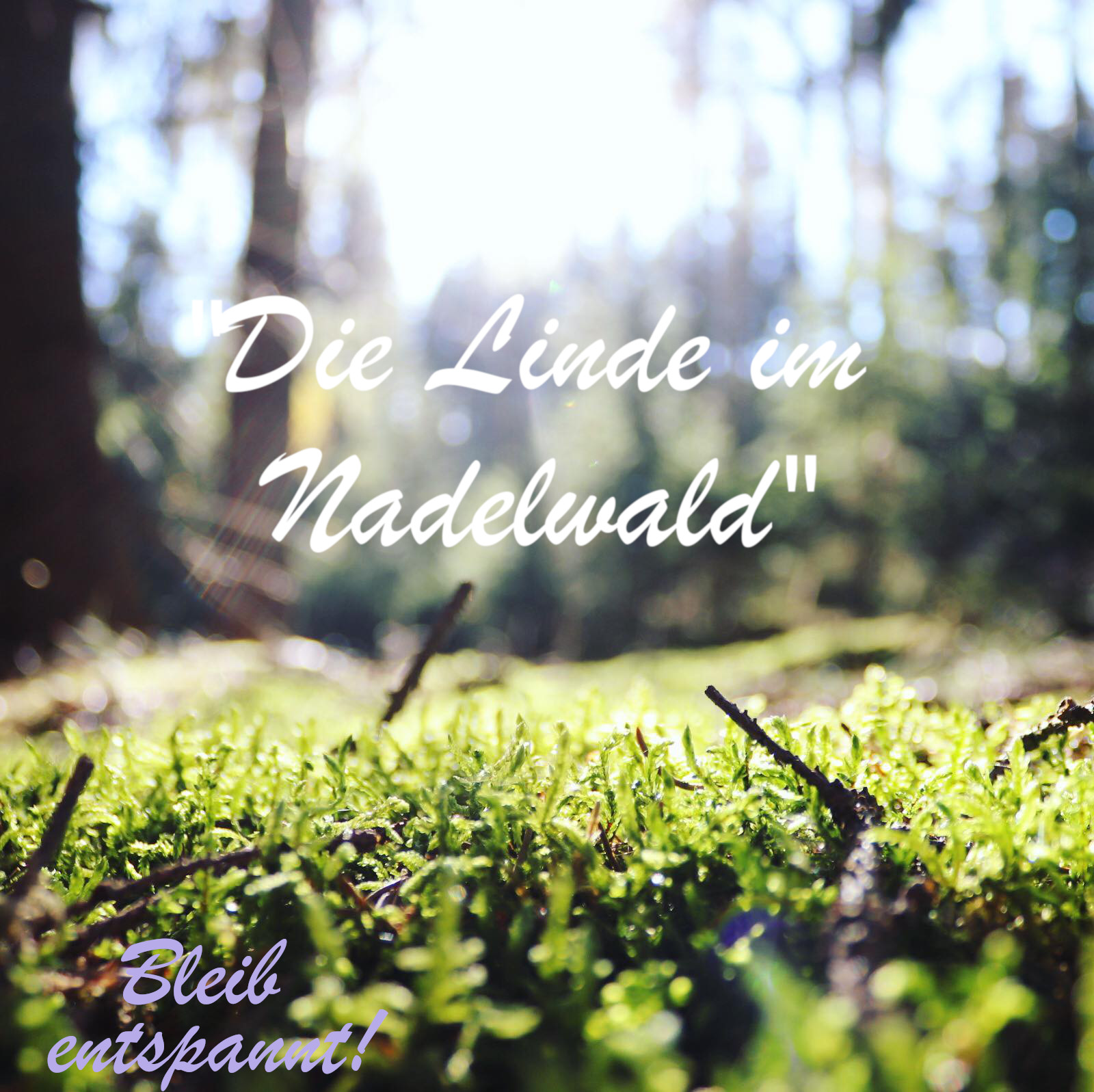 Bleib entspannt! Der Meditations-Podcast - magische Momente für Kinder & Eltern