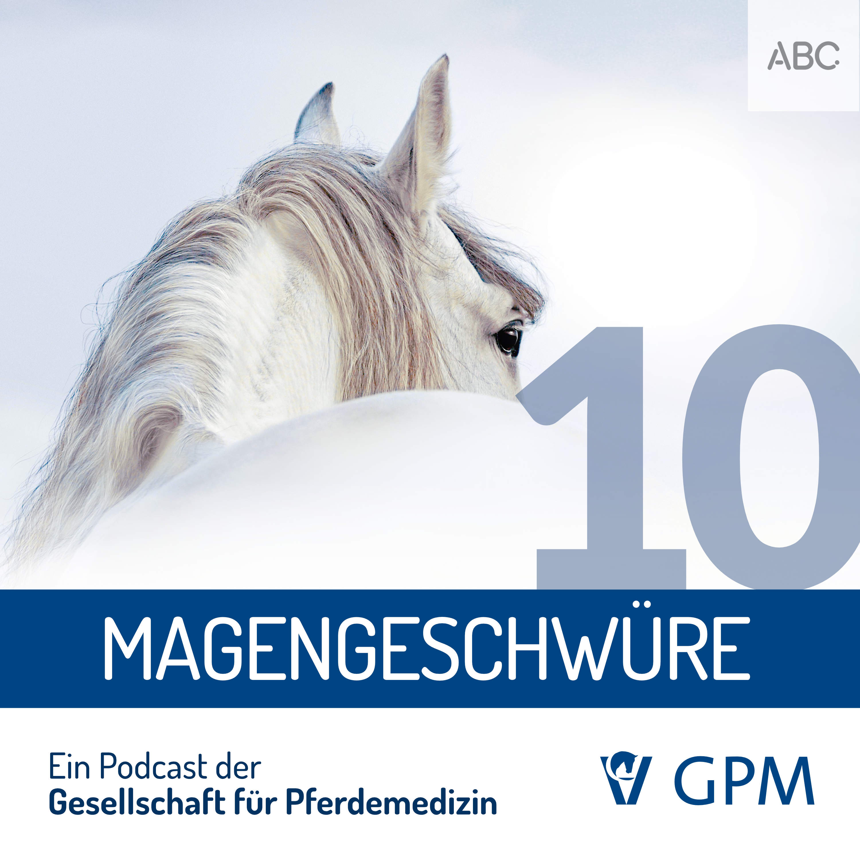 Pferdemedizin heute