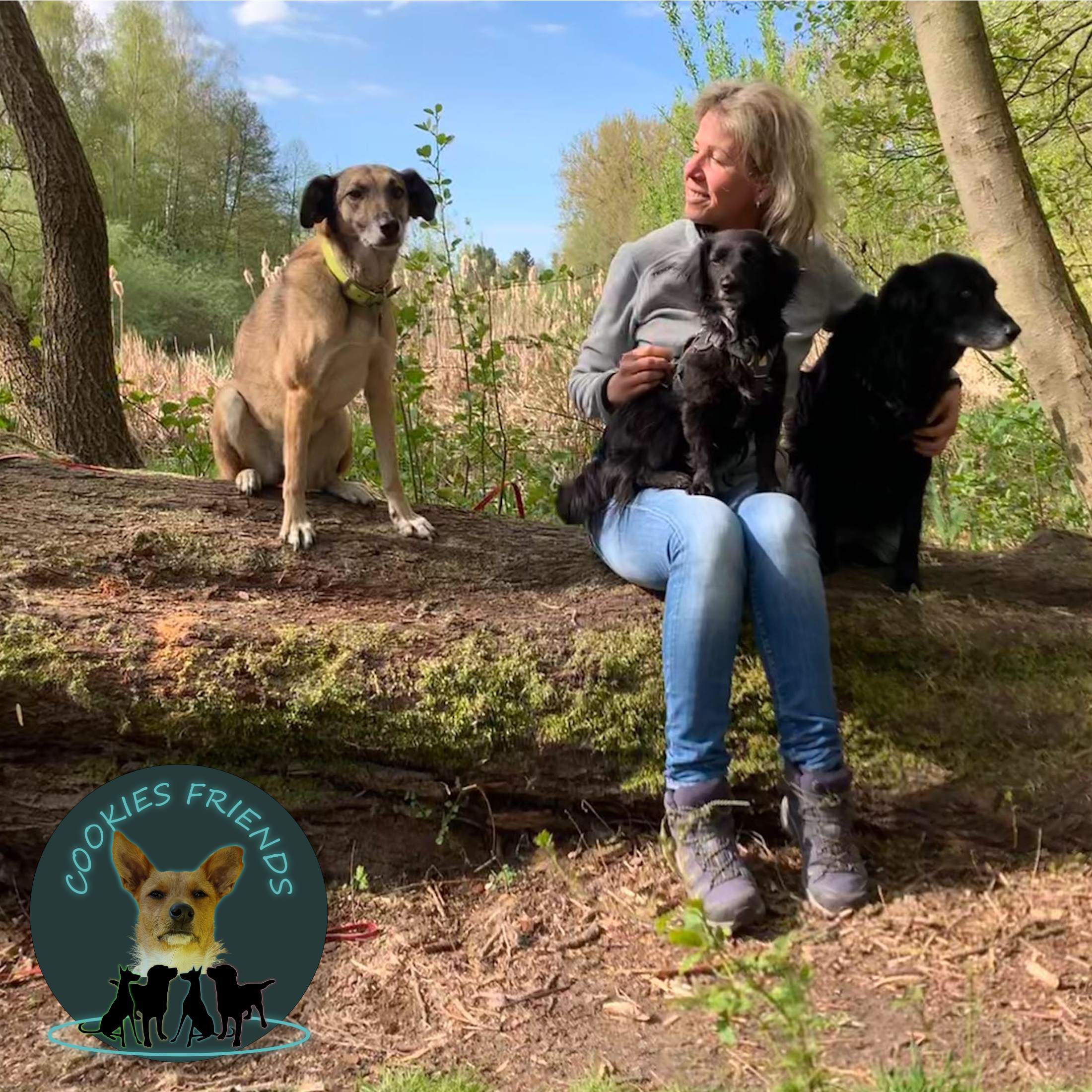 Cookies Friends. Der Podcast für Tierschutz-Hunde