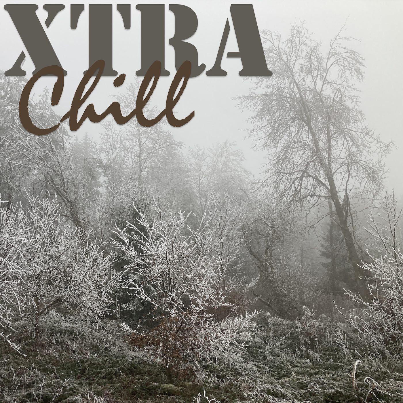 XtraChill 430