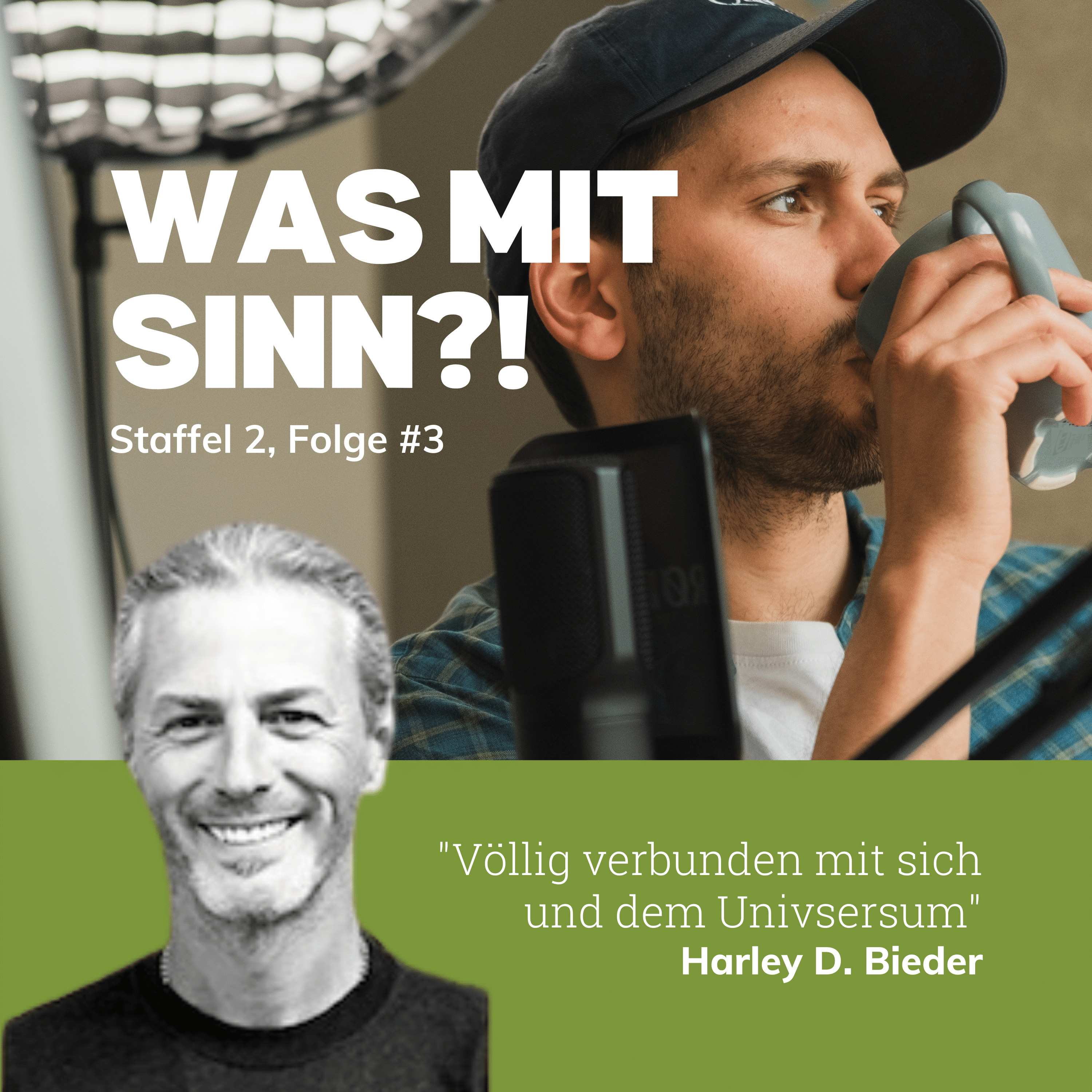 Was mit Sinn?! - Der Podcast über Sinn im Leben