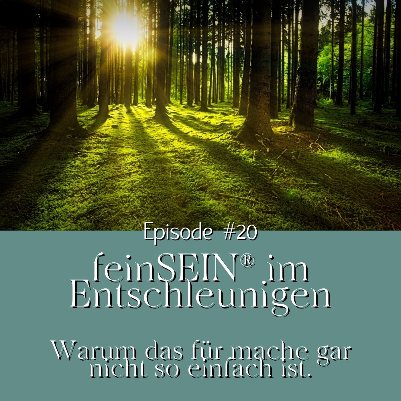 #20 - feinSEIN im Entschleunigen