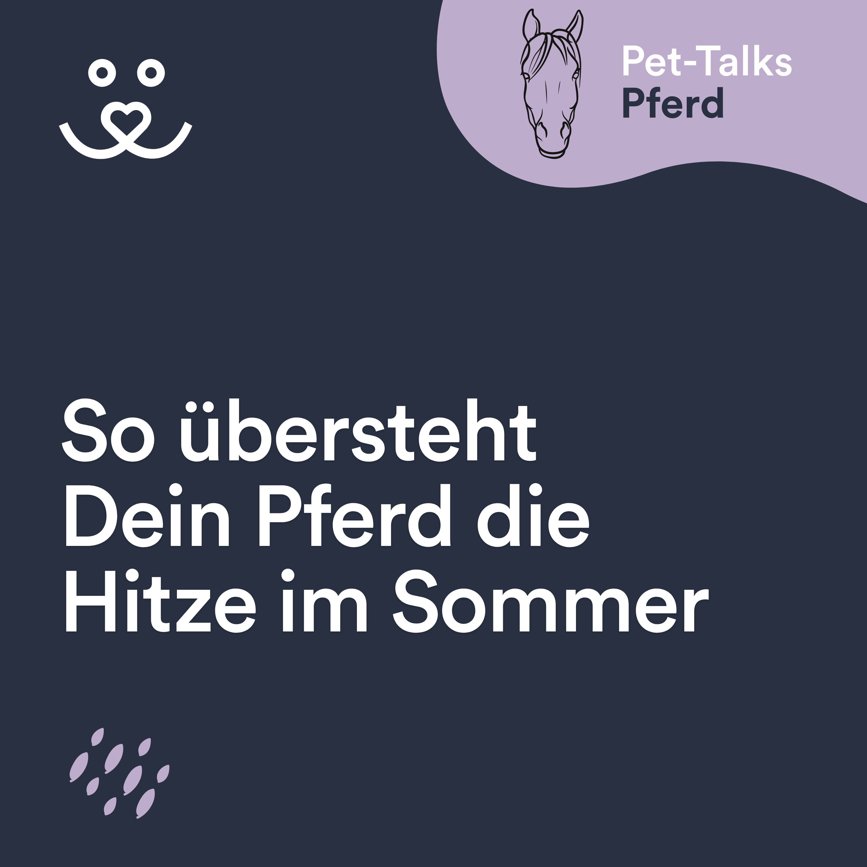Pet-Talks: Pferd – der Ratgeber-Podcast von DeineTierwelt