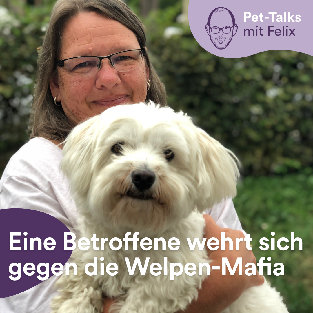 Pet-Talks: Klartext – der Interview-Podcast von DeineTierwelt