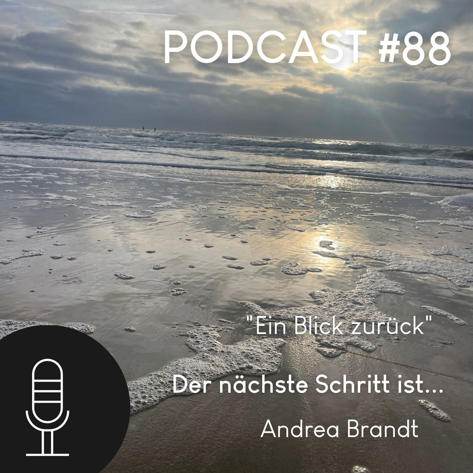 Andrea Brandt - Der nächste Schritt ist... das WAGNIS ABENTEUER LEBEN