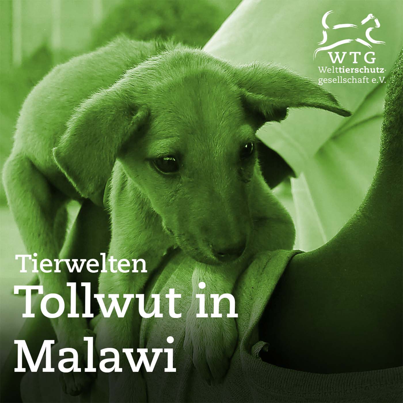 Tierwelten