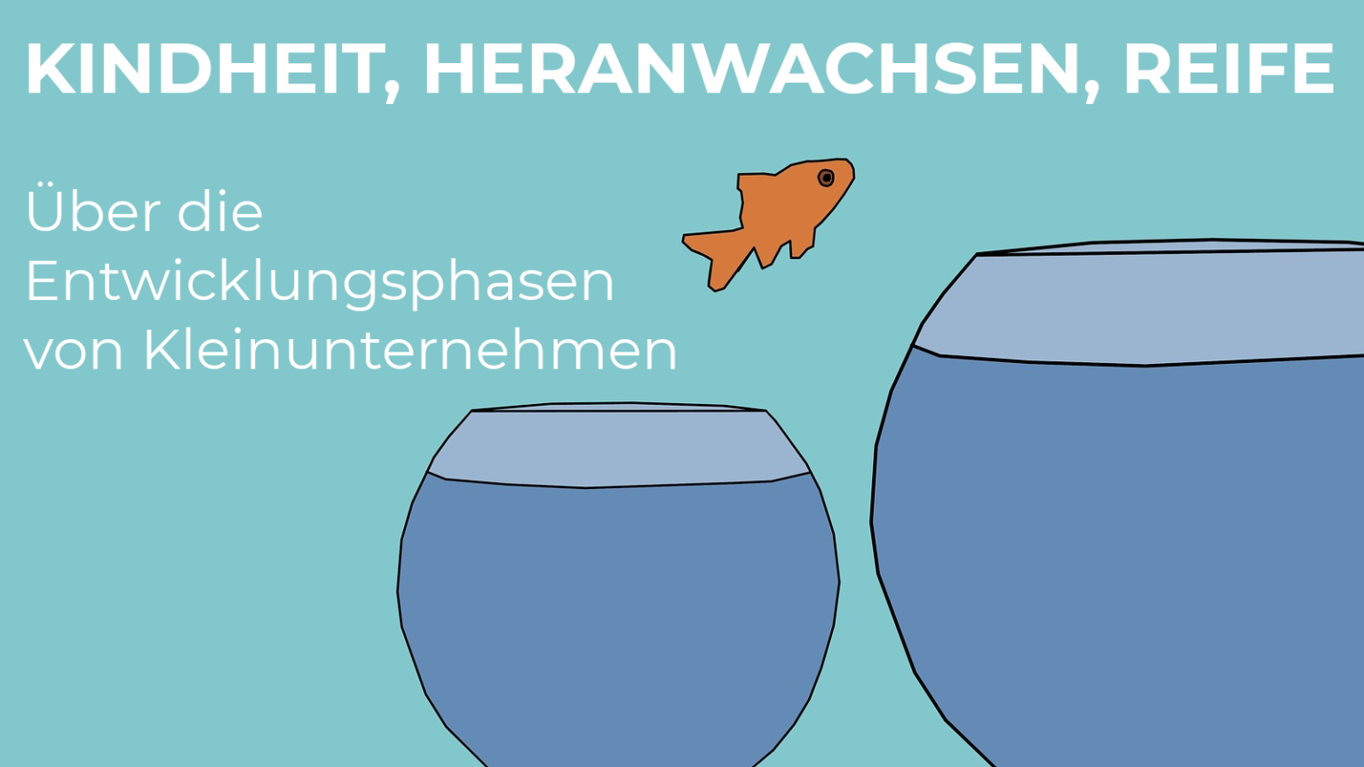 Impact Makers - Gutes Unternehmertum