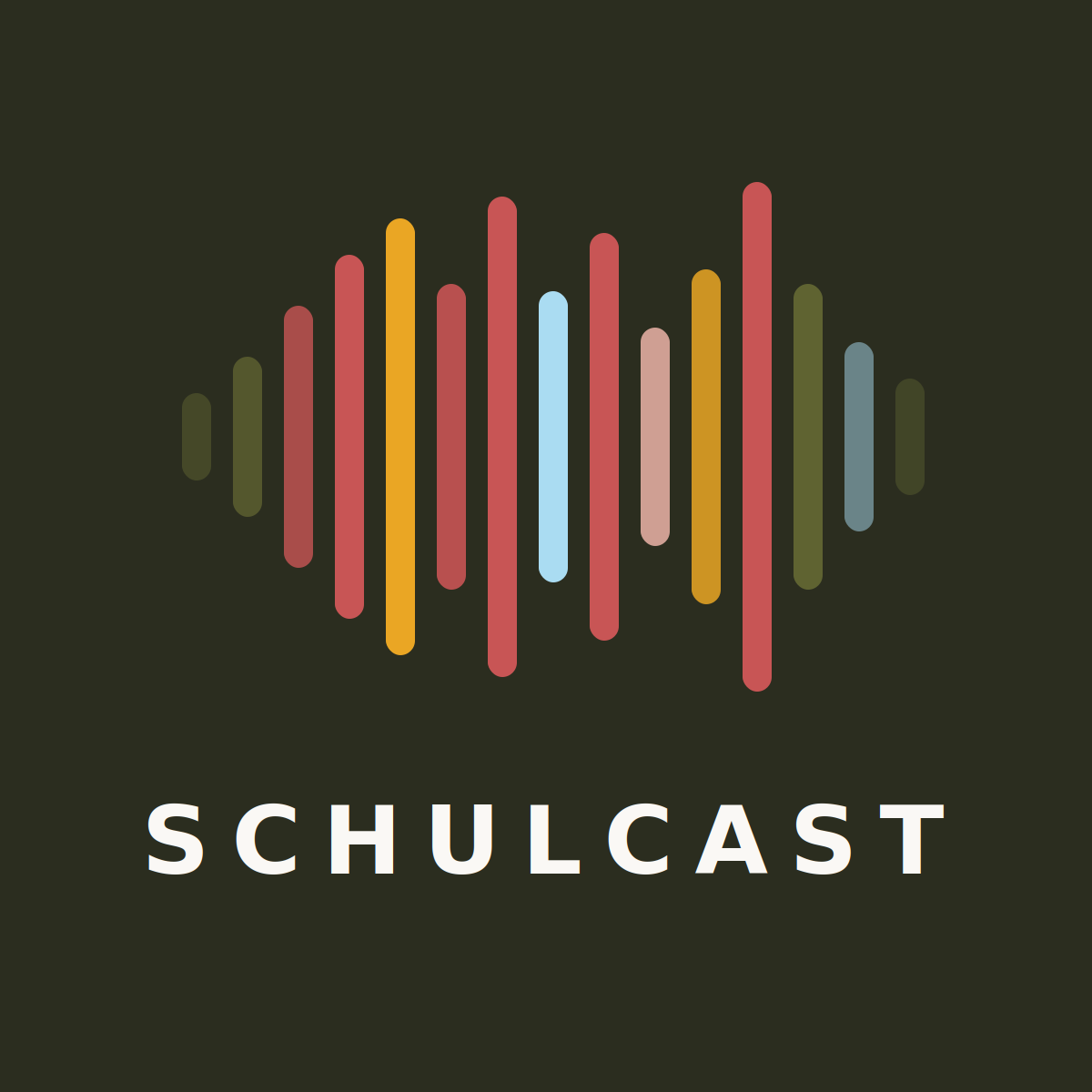 DSJ-Schulcast