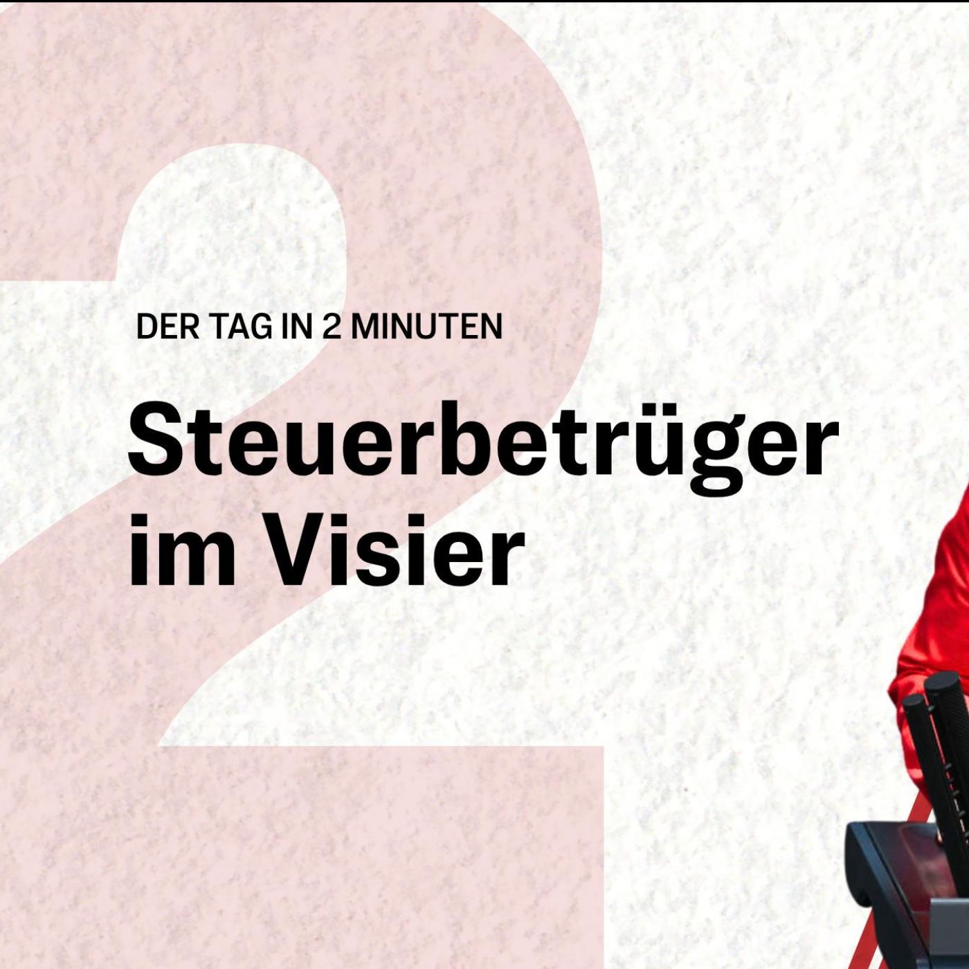 Steuerfahnder bekommen neue Möglichkeiten – das plant die Regierung | Der Tag in 2 Minuten episode artwork