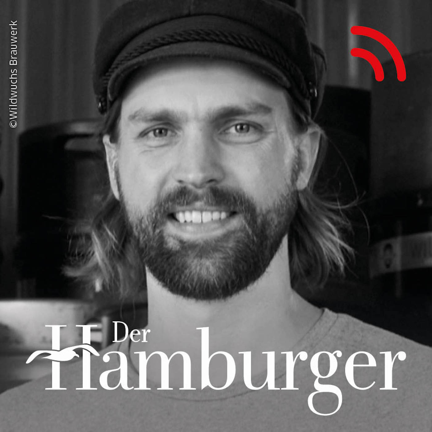 DER HAMBURGER Inside. Stimmen dieser Stadt