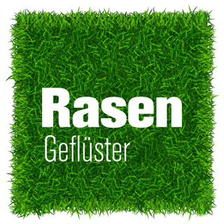 Rasengeflüster