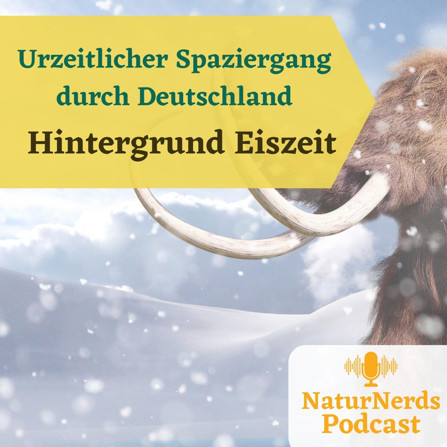 Urzeitlicher Spaziergang durch Deutschland - Hintergrundfolge Eiszeit