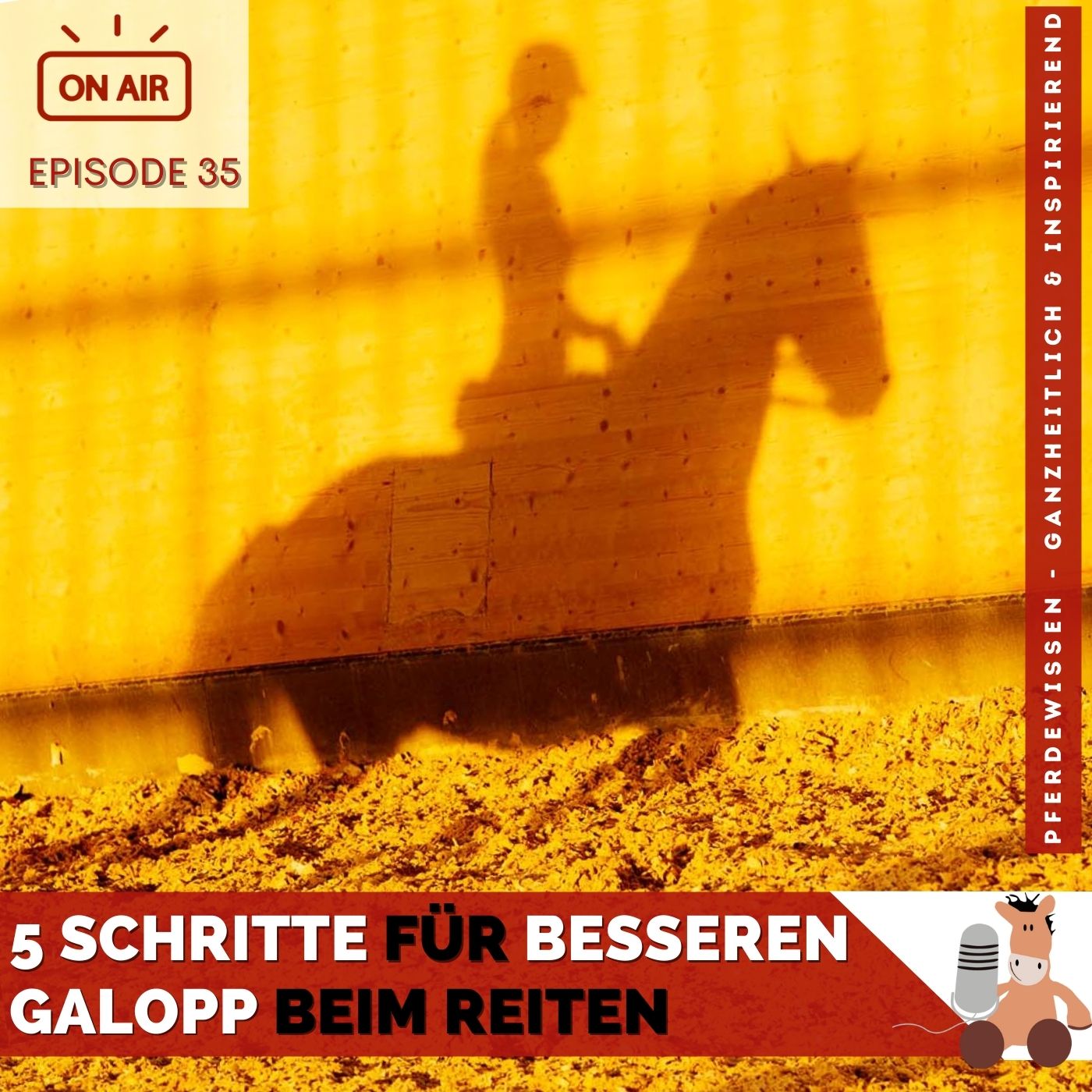 Pferdewissen - ganzheitlich & inspirierend mit Sandra Fencl