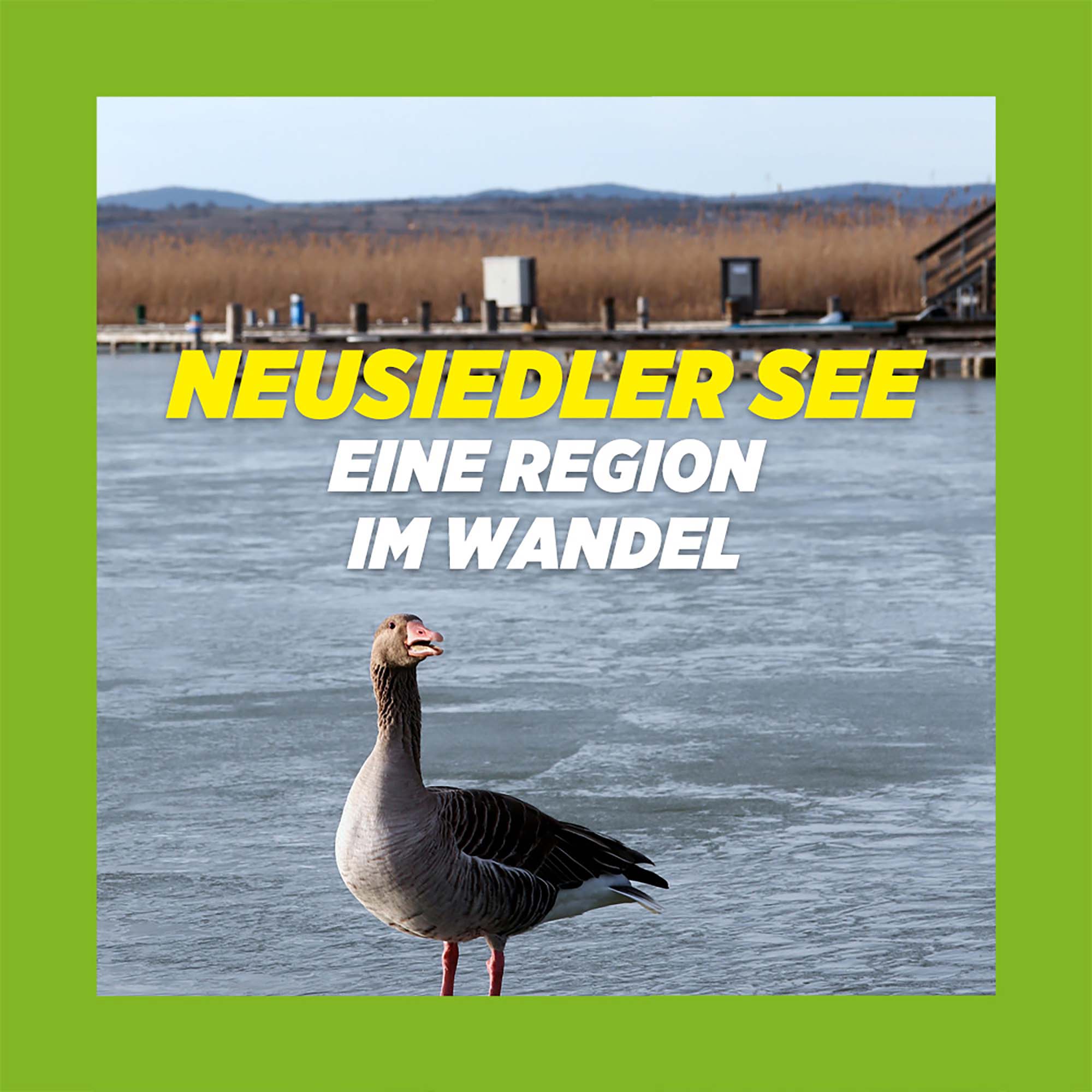 Neusiedler See - Eine Region im Wandel
