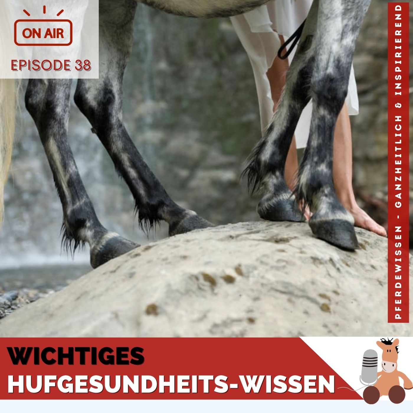 Pferdewissen - ganzheitlich & inspirierend mit Sandra Fencl