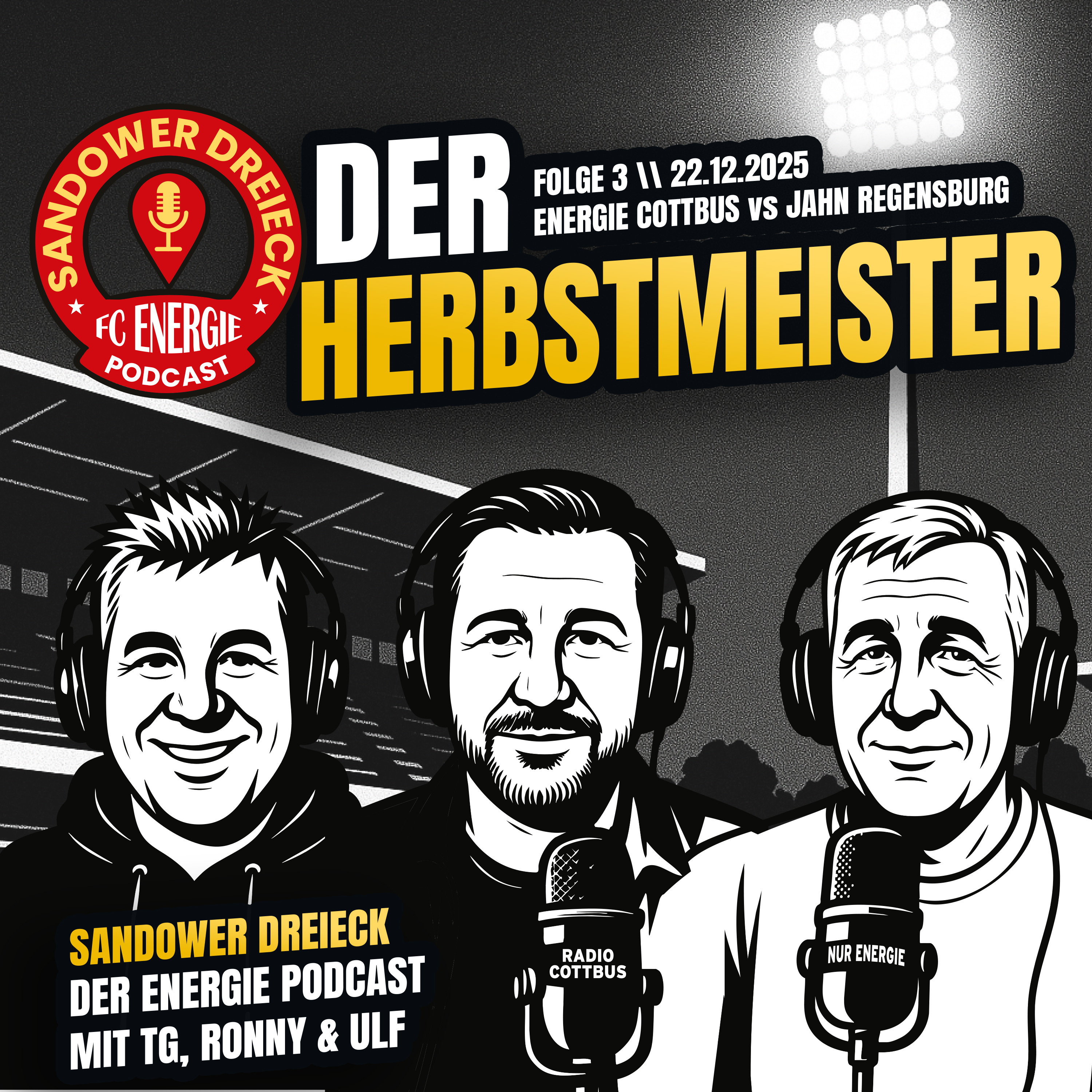 Sandower Dreieck - Der Energie Cottbus-Podcast