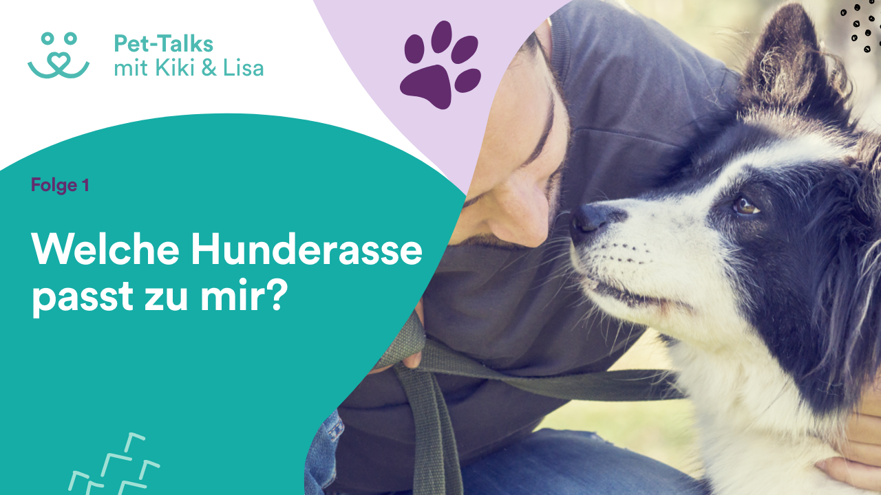 Pet-Talks mit Kiki & Lisa - der Hunde-Podcast von DeineTierwelt