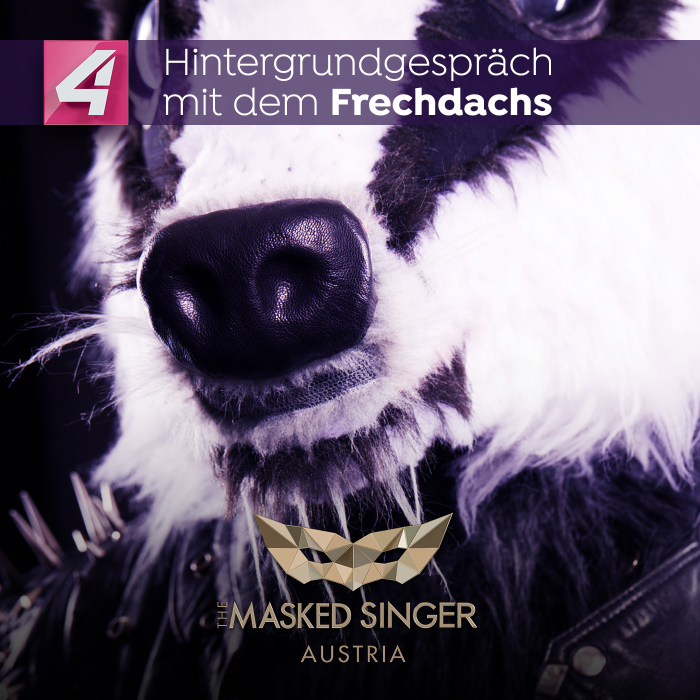 The Masked Singer Austria – Das Hintergrundgespräch