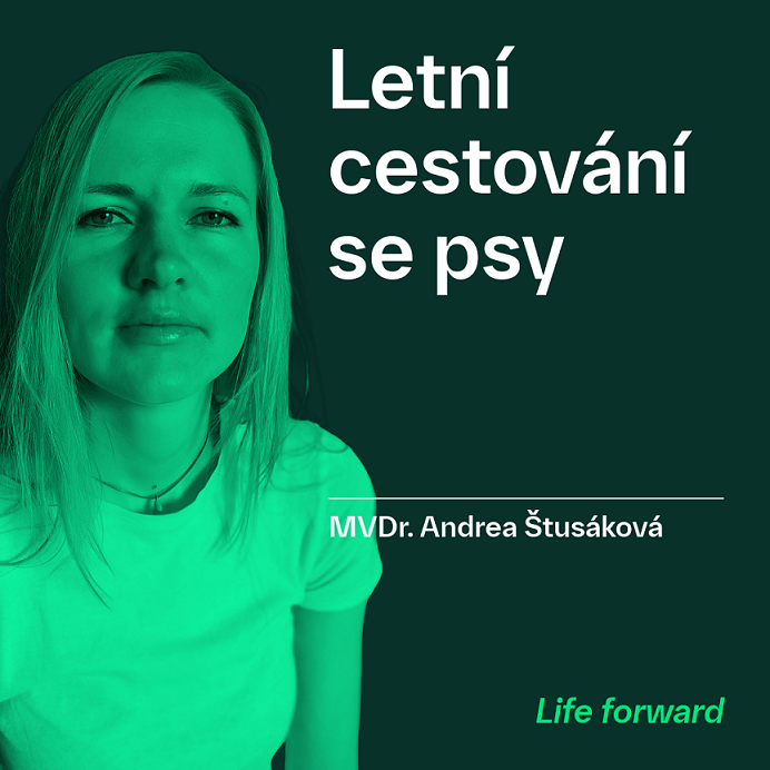 Dogtoři - pro kočky, koně a psy