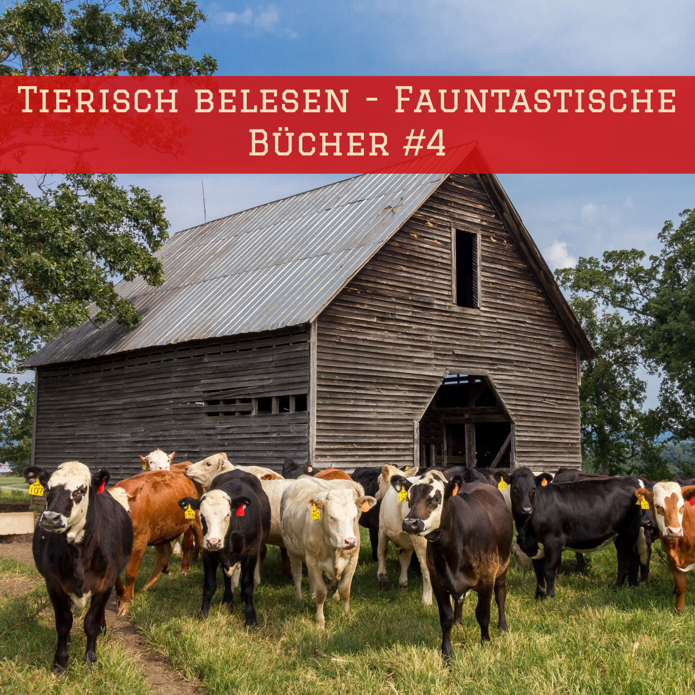 Der literarische Saloon