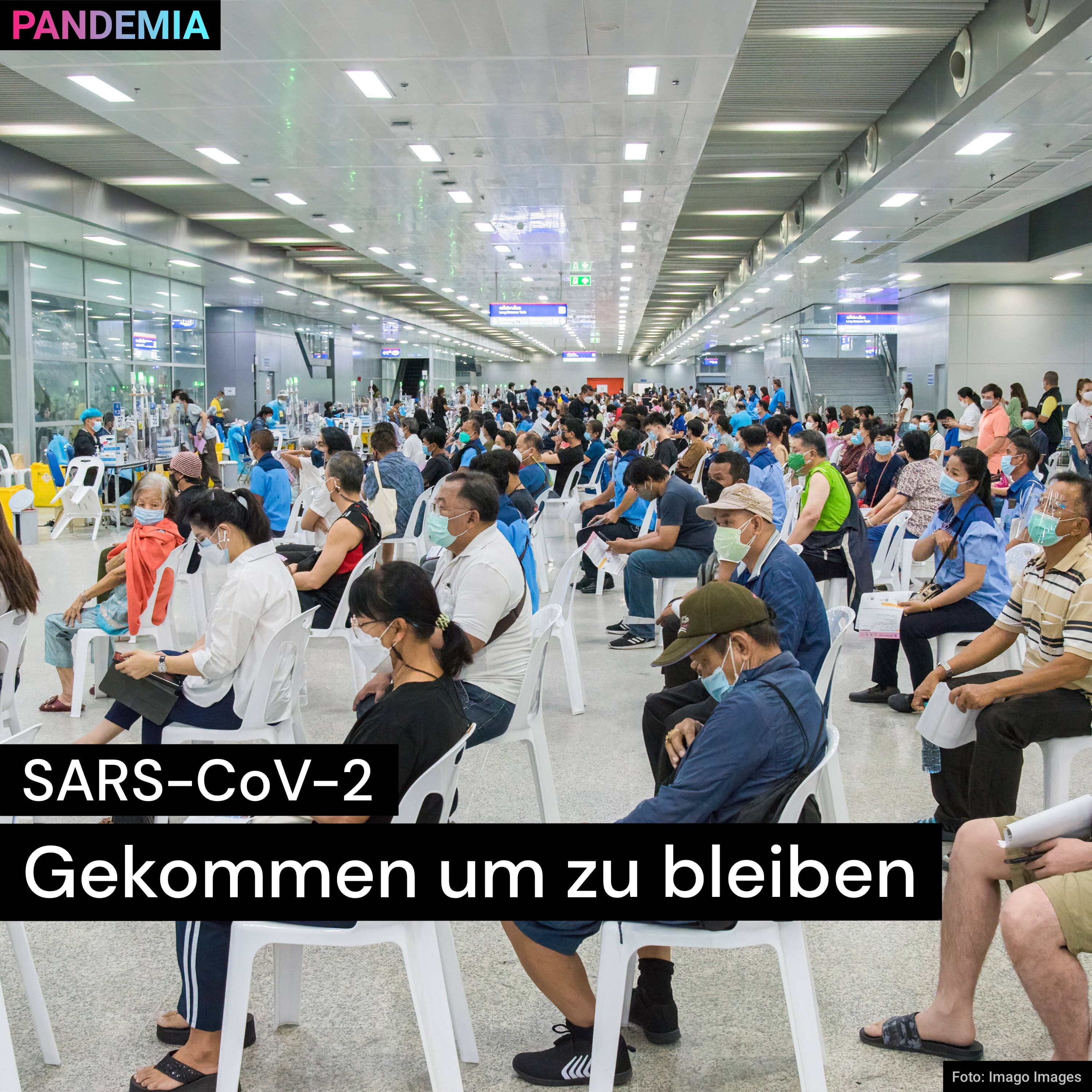 Pandemia