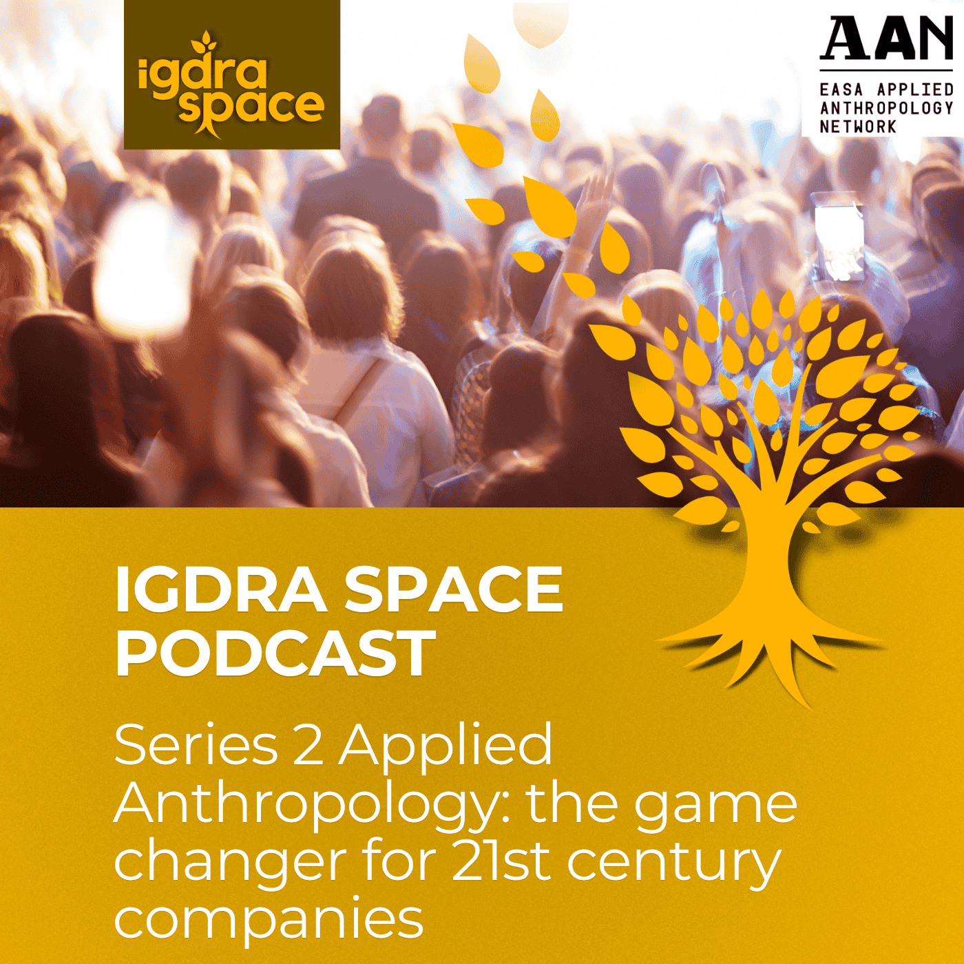 igdra space podcast 2 - Applied Anthropology - the gamechanger for 21st century companies